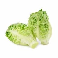 English Little Gem Lettuce