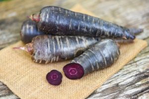 Fresh Purple Carrots