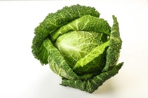 Fresh Savoy Cabbage