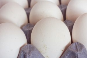 Eggs_White