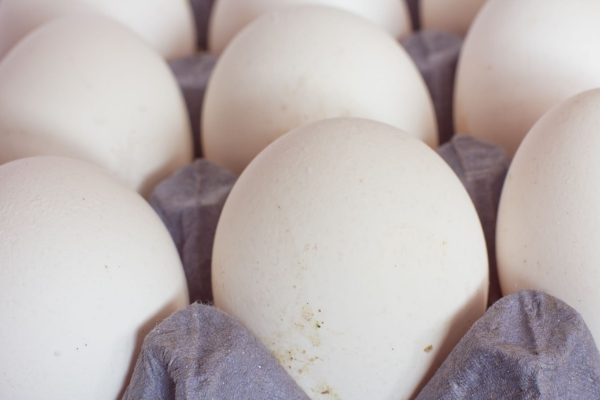 Eggs_White