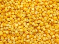 Sweetcorn 2.1Kg