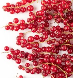 Fresh Redcurrant x1