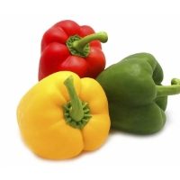 Fresh Peppers Traffic Light - Mixed