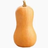 Fresh Butternut Squash x1