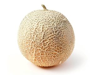 Fresh Canteloupe Melon