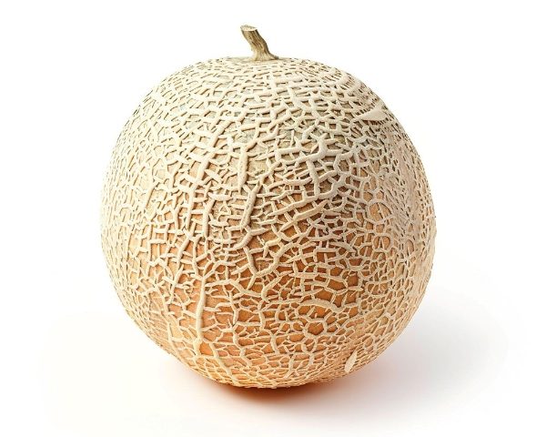 Fresh Canteloupe Melon