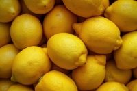 Fresh Lemons - Per Case