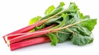 Fresh Rhubarb