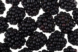 Fresh Blackberries x1