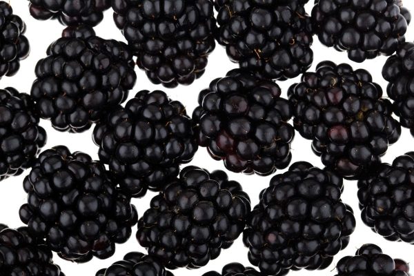 Fresh Blackberries x1