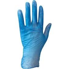 Disposable Gloves - Large