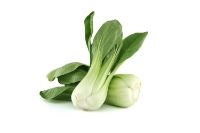 Fresh Bok Choi