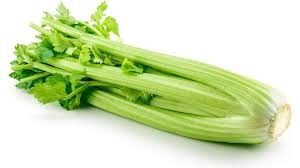 Fresh Celery