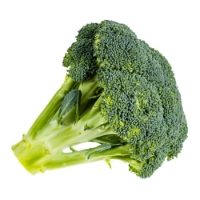 Fresh Broccoli