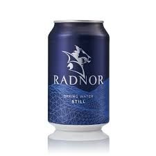 Radnor Canned Water - Still