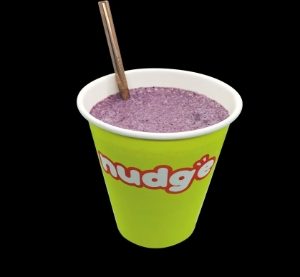 Nudge Smoothie Mix - Protein Berry