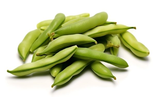 Fresh Broad Beans