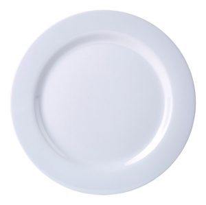 Porcelain 9" Dinner Plate