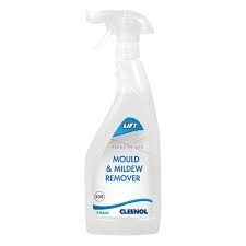 Dettol Mould/Mildew Remover Spray